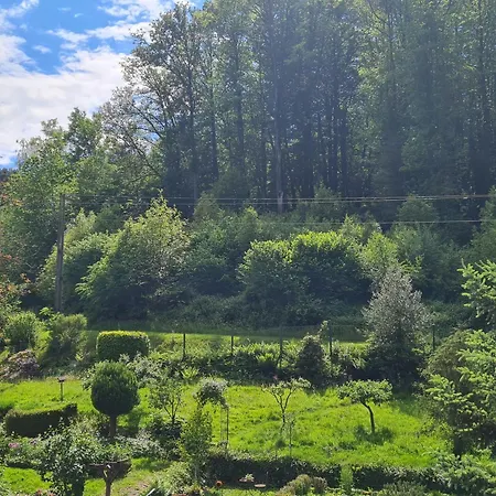 Birds-nest Waldblick Kamin Darstein