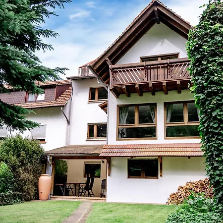 Birds-nest Waldblick Kamin * Darstein