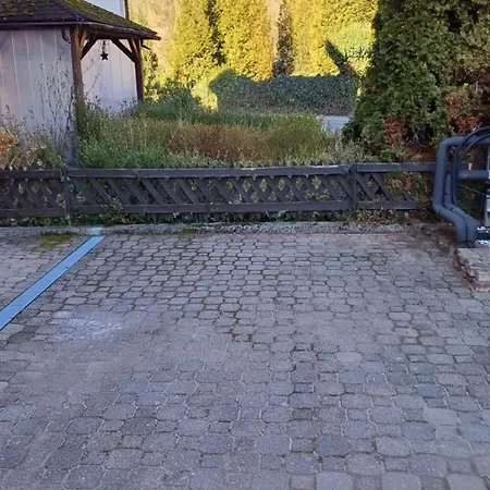 Birds-nest Waldblick Kamin アパート *