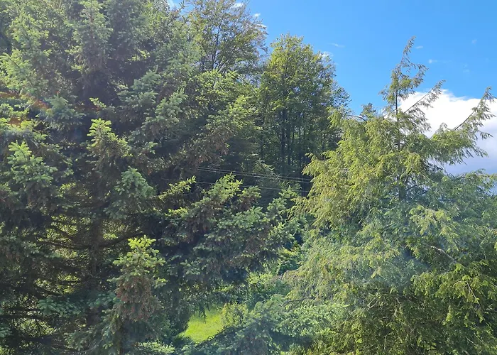 Birds-nest Waldblick Kamin *