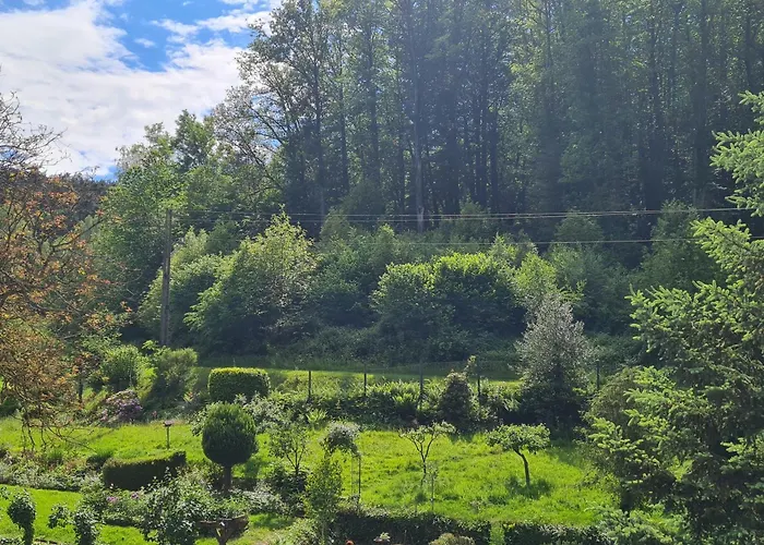 Birds-nest Waldblick Kamin Darstein