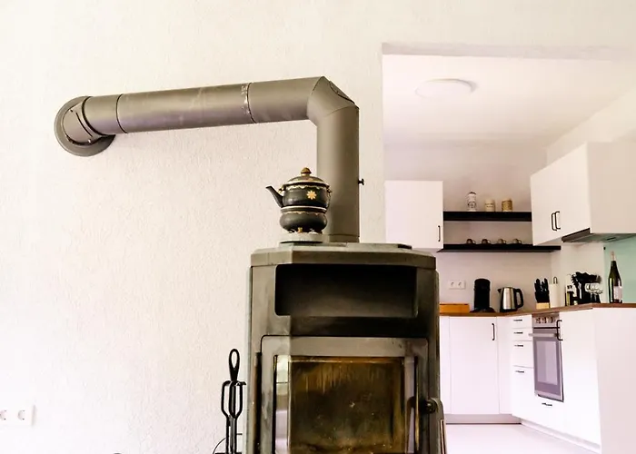 Birds-nest Waldblick Kamin