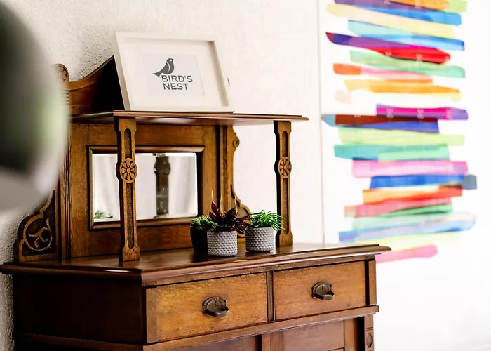 Apartament Birds-nest Waldblick Kamin Darstein